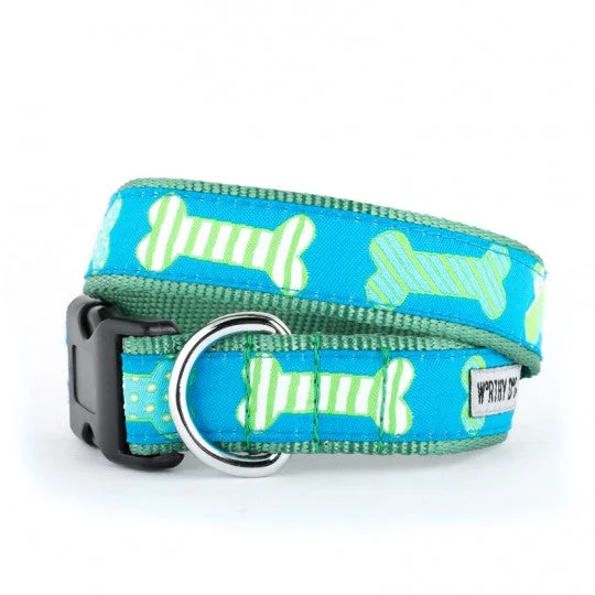  . **Pet collar with custom engraving**Preppy Bone Blue Dog Collar