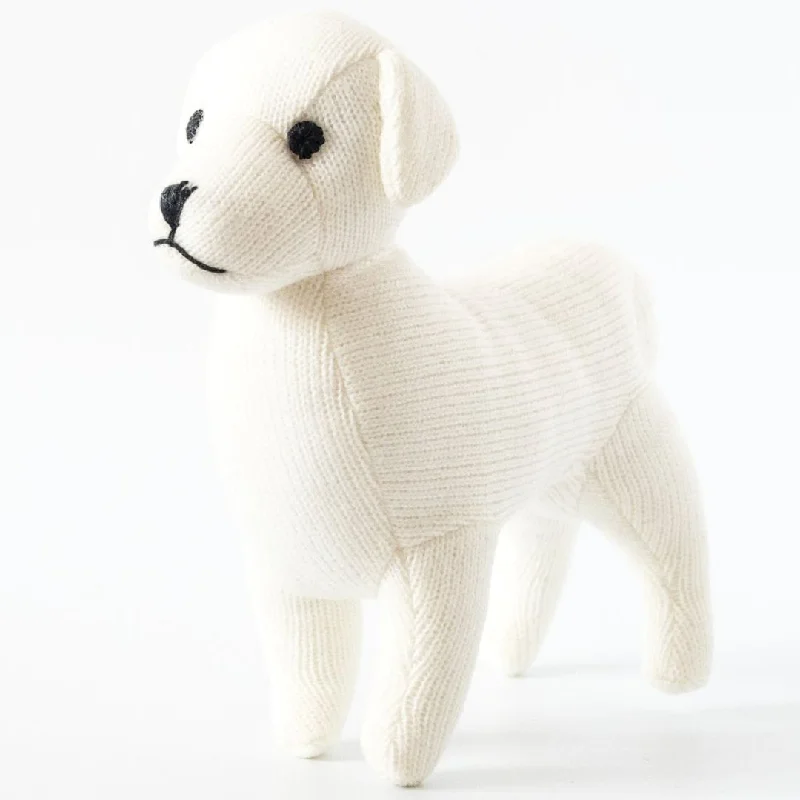 - Pet vitamin complex nutrition tabletsLabrador Knitted Dog Toy