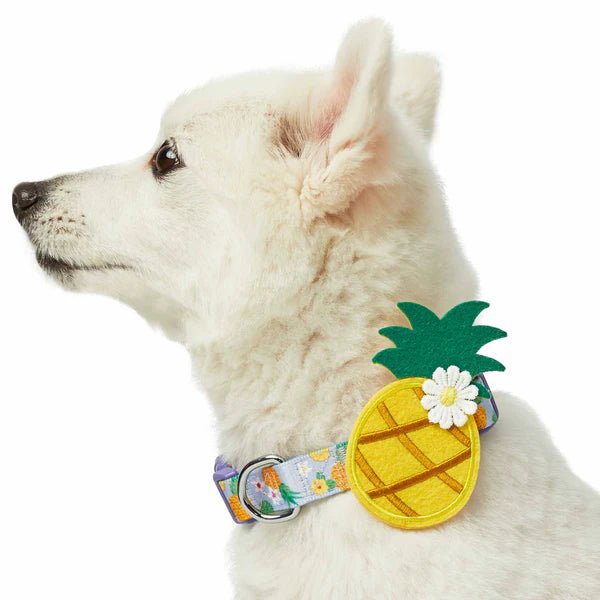 Pet anti-allergic clothesZesty Fruit Dog Collar- Pineapple