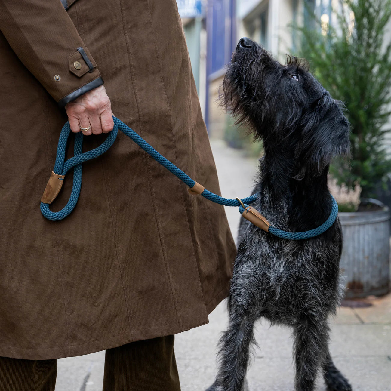 - Postoperative pet anti-licking Elizabethan collarSandringham Blue Rope Dog Leads by Ruff And Tumble - Postoperative pet anti-licking Elizabethan collarSandringham Blue Rope Dog Leads by Ruff And Tumble