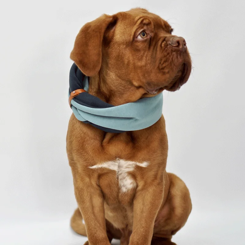 - Cat anti-jump window safety netSimo Turquoise & Iron Double Dog Scarf by Labbvenn