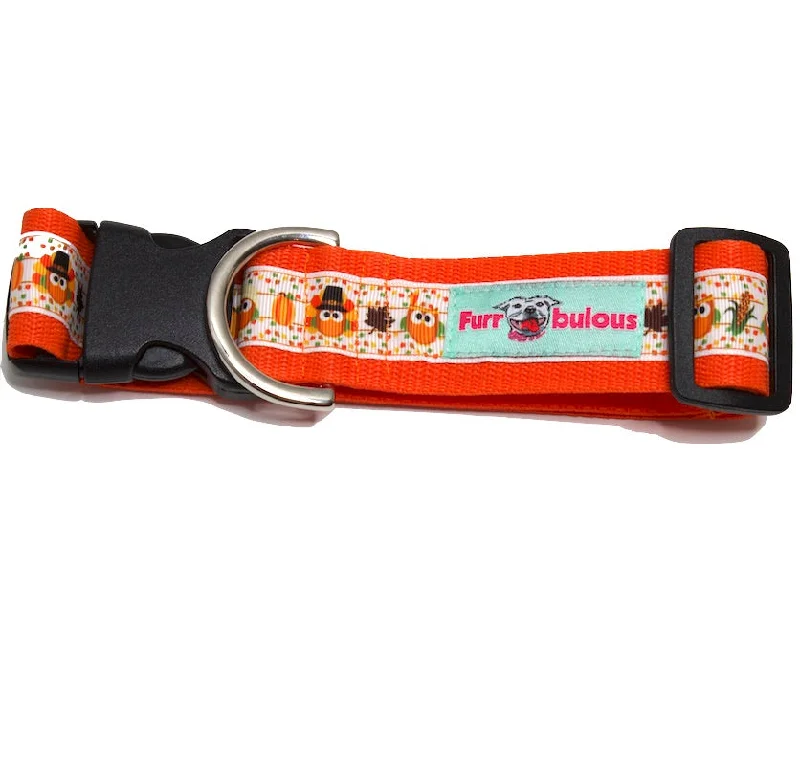  . **Pet nail clippers with LED lights**Fall - Autumn Dog Collars - 1.5"