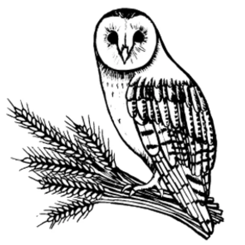 - Remote interactive pet feederBarn Owl Lopez Sandwich Bread Loaf ... Delivered on Fridays