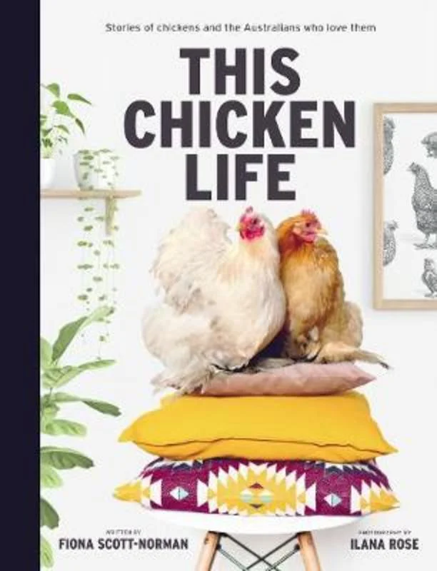 - Rabbit grass rack to prevent waste food boxThis Chicken Life