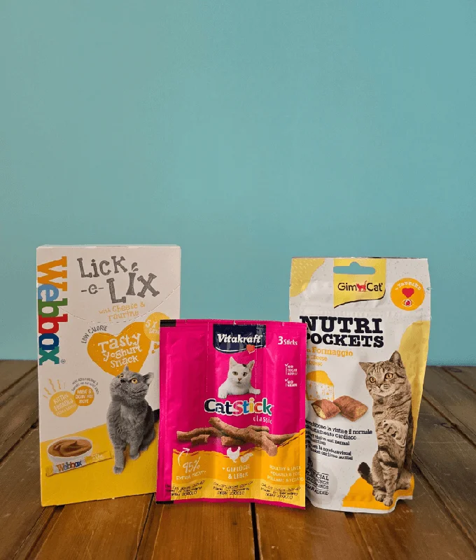  . **Special Needs**  Cheesy Pleezy Bundle
