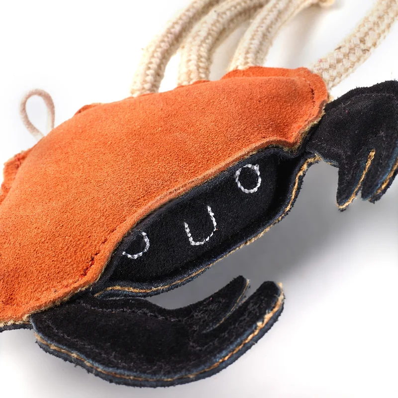 - Outdoor dog toy selectionGreen & Wilds Eco Toy Carlos The Crab