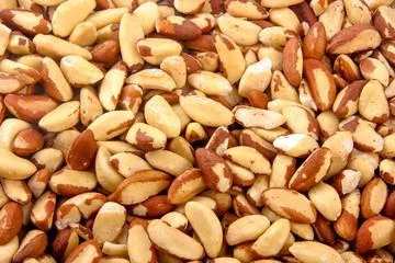 - Winter dog thick down jacketOrg Brazil Nuts Bulk (per 1/2 lb)