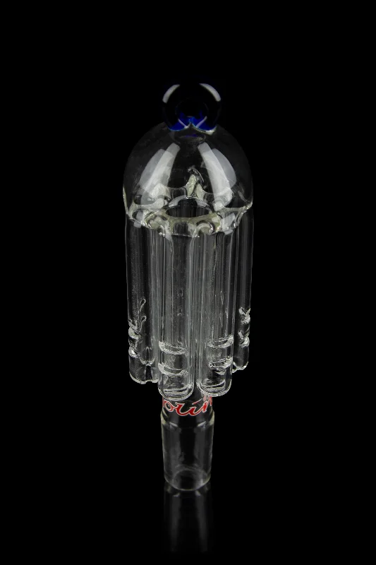 - Parrot climbing and standing wooden frameMolino Glass Honeycomb Percolator