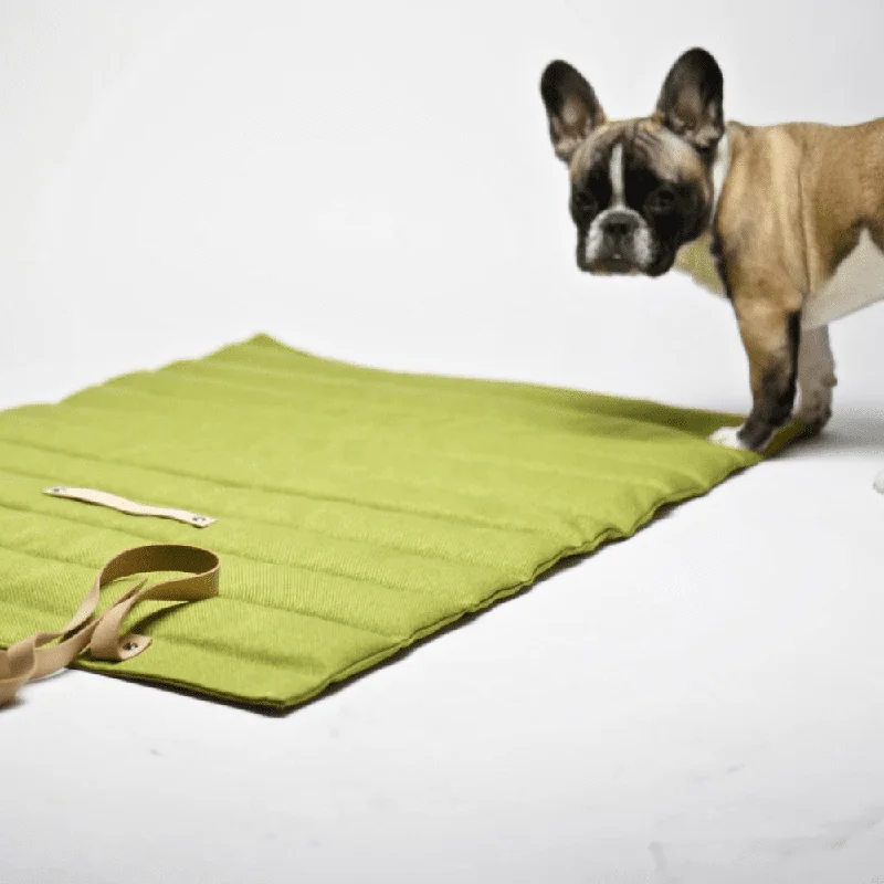 - Remote interactive pet feederFosser Travel Dog Mat In Green by Labbvenn