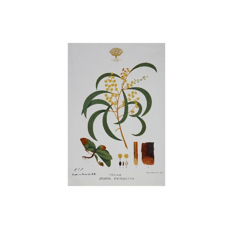 - Automatic temperature adjustment cat bedRoyal Botanic Garden Tea Towel Wattle 50 x 70cm
