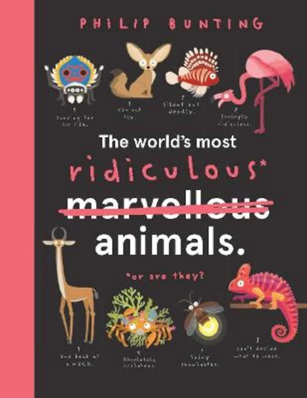 - Air box TSA certified check-inThe World's Most Ridiculous Animals