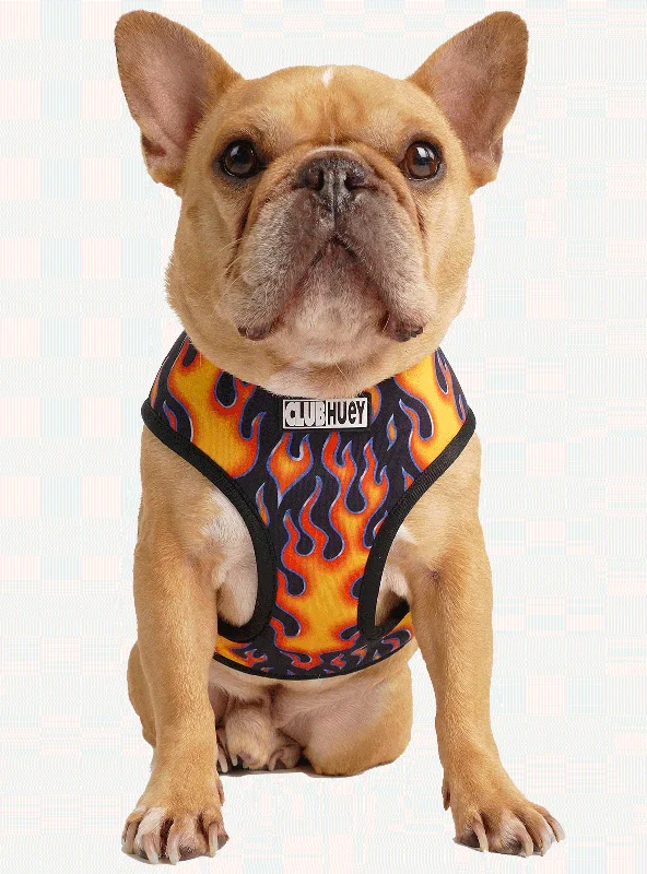 XX brand pet fashionThe Heaven And Heck Reversible Harness