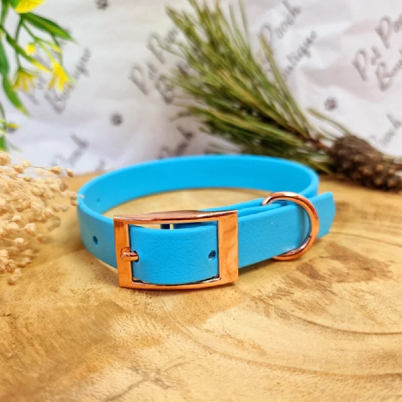 ---Baby Blue Biothane Dog Collar