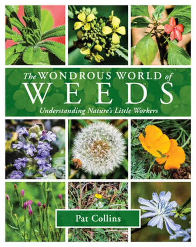- Cat stress soothing sprayThe Wondrous World of Weeds