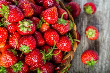 - Pet monitor with cameraOrg 1lb Strawberries (each)