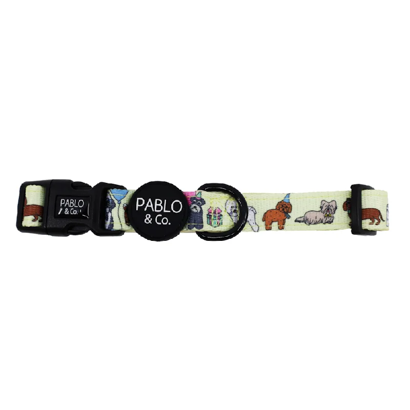  . **Cat backpack space capsule**Pablo & Co Party Dawgs Dog Collar