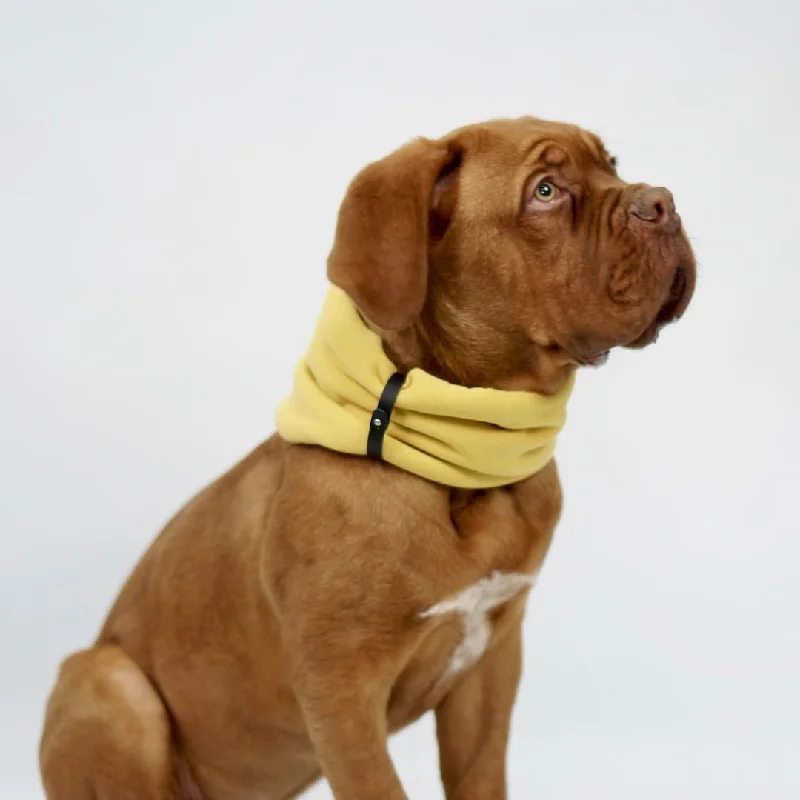 - Car dog seat beltInko Gold Dog Scarf by Labbvenn