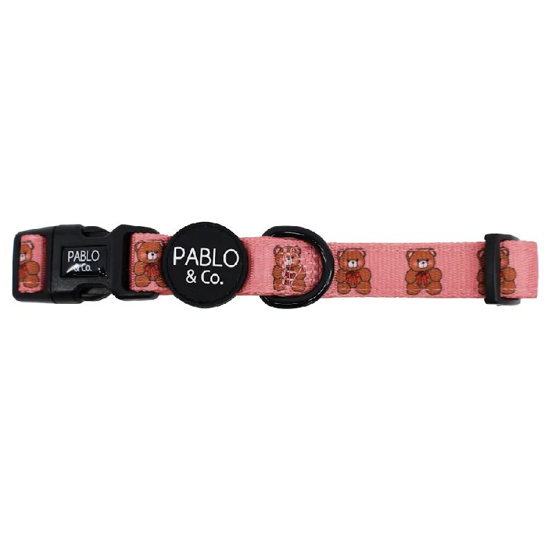  . **Dog paw cream is winter**Pablo & Co Teddies Dog Collar