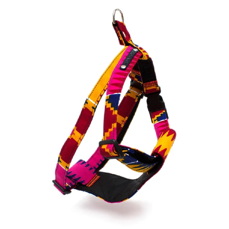  -Explosion-proof leash FOR LARGE dogsDakar Dog Harness by Hiro and Wolf
