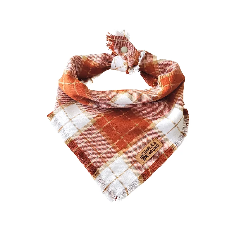 Focus on health and safety:Tie-on Dog Bandana