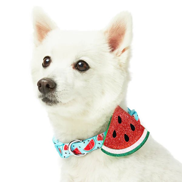 Non-toxic pet clothesZesty Fruit Dog Collar- Watermelon