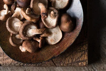 - Remote interactive pet feederOrg Shiitake Mushrooms (per pound) 1# = approximately 10 mushrooms - Remote interactive pet feederOrg Shiitake Mushrooms (per pound) 1# = approximately 10 mushrooms