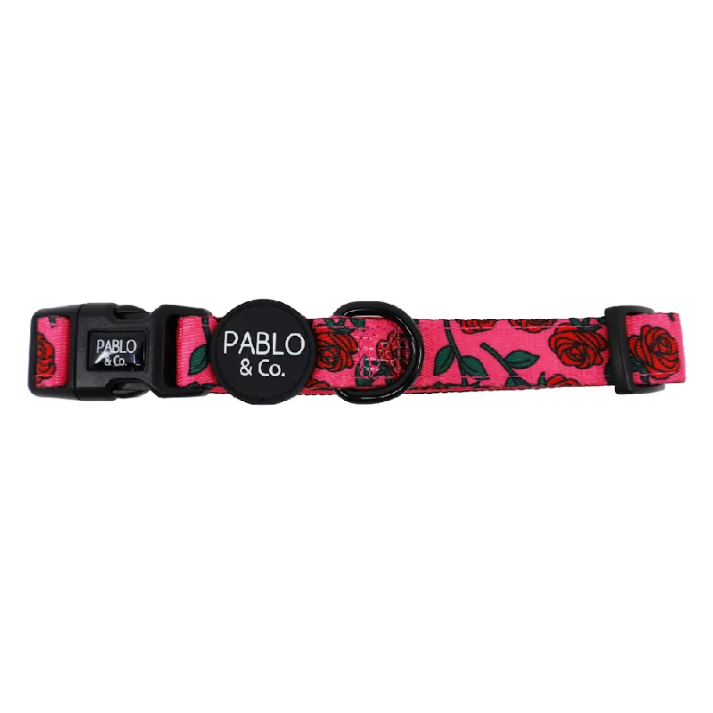 ### Cat accessoriesPablo & Co Rosie Dog Collar