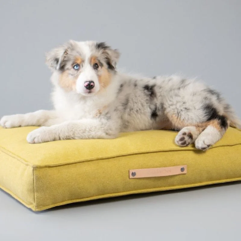 - Degradable pet feces bagMovik Honey Cushion Dog Bed by Labbvenn