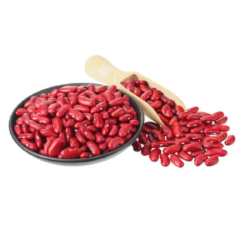  -Anti-scratch scratching board AND cat bed in oneRED BEANS 500 GM