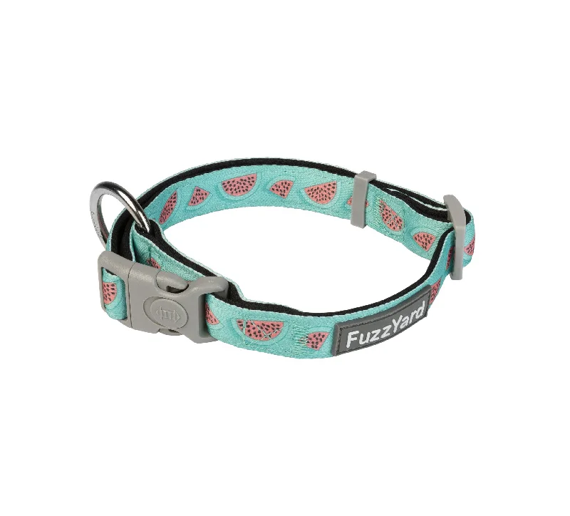 - Cat nail clippers with LED lightsFuzzYard Summer Punch Watermelon Dog Collar