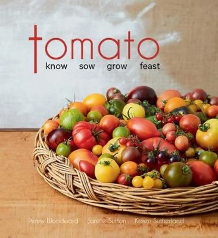 - Hamster silent running wheel to prevent chewingTomato
