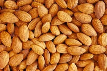 - Rabbit grass rack to prevent waste food boxOrg Almonds Whole Raw Bulk (per 1/2 lb) - Rabbit grass rack to prevent waste food boxOrg Almonds Whole Raw Bulk (per 1/2 lb)
